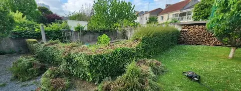abattage d'arbre Beaupréau-5