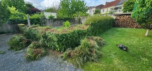abattage d'arbre à Chemillé - image 2