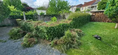 abattage d'arbre Montrelais-1