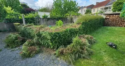 abattage d'arbre Varades-1
