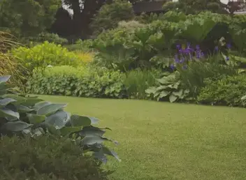 aménagement de jardin Beaupréau-1