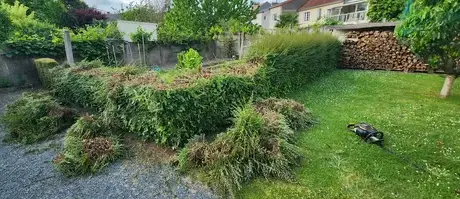 aménagement de jardin à Beaupréau - image 4