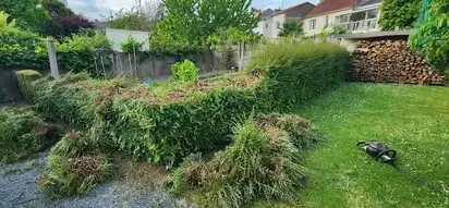 aménagement de jardin à Chalonnes-sur-Loire - image 2