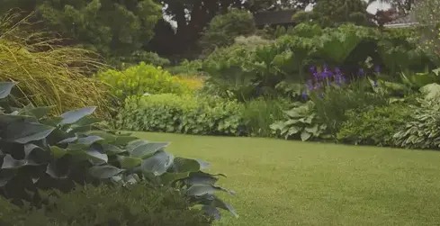 aménagement de jardin à Chalonnes-sur-Loire - image 4