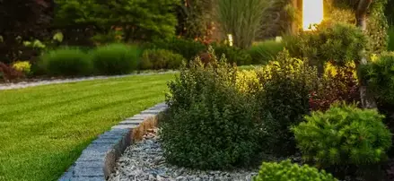 aménagement de jardin Chalonnes-sur-Loire-5