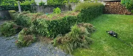 aménagement de jardin à Chaudron-en-Mauges - image 3