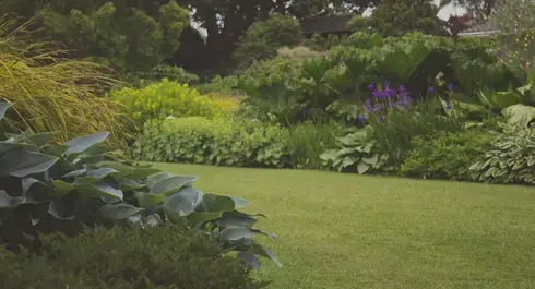 aménagement de jardin à Chaudron-en-Mauges - image 4