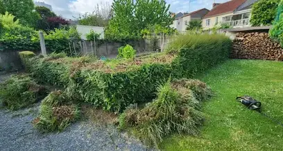 aménagement de jardin Chemillé-Melay-1