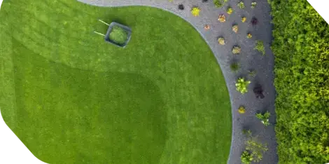 aménagement de jardin à Chemillé-Melay - image 3