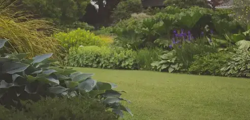 aménagement de jardin à Chemillé-Melay - image 4