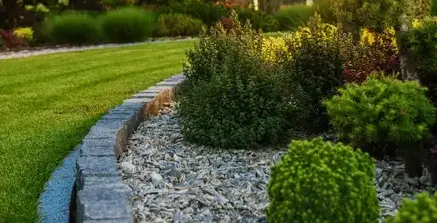 aménagement de jardin Chemillé-Melay-5