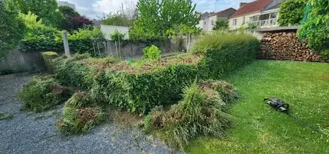 aménagement de jardin à Montrelais - image 2