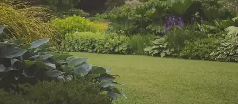aménagement de jardin Montrevault-1