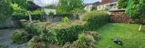 aménagement de jardin à Saint-Macaire-en-Mauges - image 2