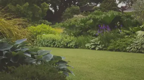 aménagement de jardin à Saint-Macaire-en-Mauges - image 3