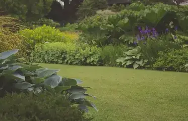 aménagement extérieur à Ancenis - image 3