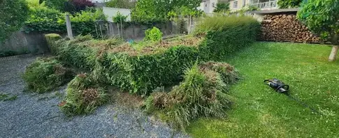 aménagement extérieur à Saint-Macaire-en-Mauges - image 2