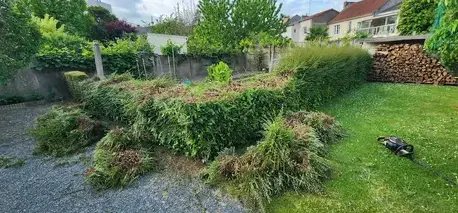 arboriste à Chaudron-en-Mauges - image 3