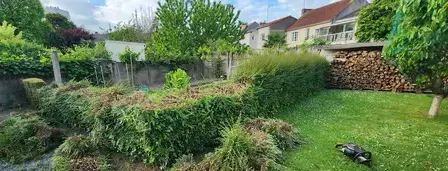 élagueur à Ancenis - image 4