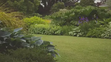 élagueur Beaupréau-1