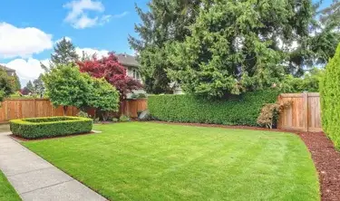 élagueur à Beaupréau - image 2