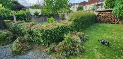 élagueur à Beaupréau - image 3