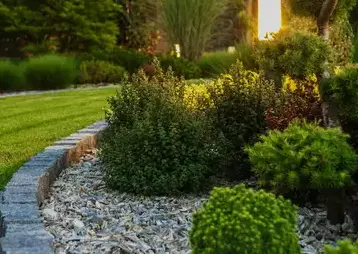 élagueur Beaupréau-5