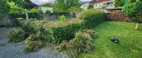 élagueur à Chalonnes-sur-Loire - image 2