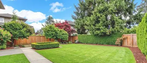 élagueur Chaudron-en-Mauges-1