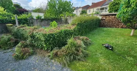 élagueur à Chemillé-Melay - image 4