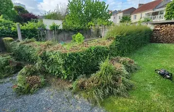 élagueur à La Pommeraye - image 3
