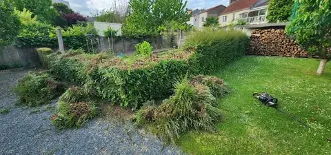 élagueur à Montrelais - image 3