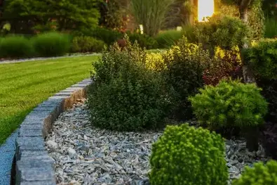 élagueur Montrevault-1