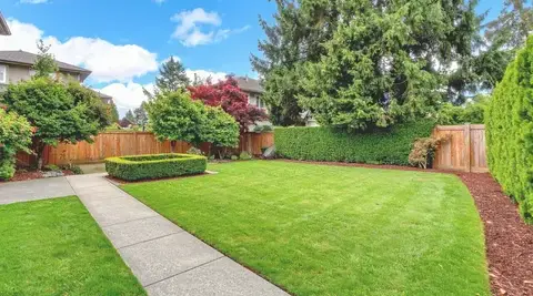 élagueur à Montrevault - image 2