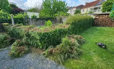 élagueur à Montrevault - image 3