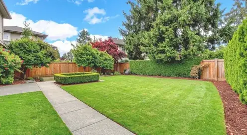 élagueur à Saint-Macaire-en-Mauges - image 2