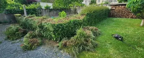 élagueur à Saint-Macaire-en-Mauges - image 3