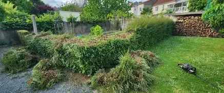 élagueur à Varades - image 2