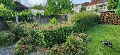 entretien espaces verts Beaupréau-1