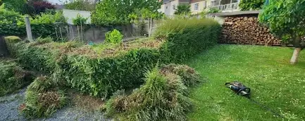 entretien espaces verts à Varades - image 3