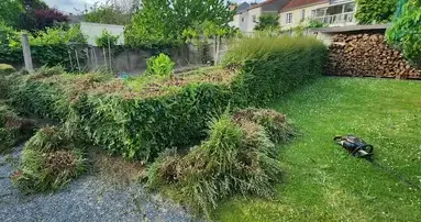 jardinier à Ancenis - image 3