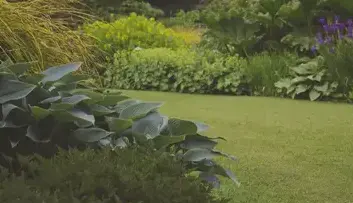 jardinier à Ancenis - image 4