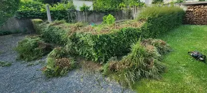 jardinier Chalonnes-sur-Loire-5