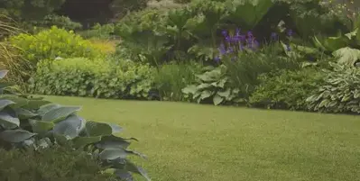 jardinier à Chaudron-en-Mauges - image 2