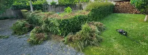 jardinier à Chaudron-en-Mauges - image 4