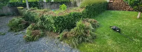 jardinier à La Pommeraye - image 2