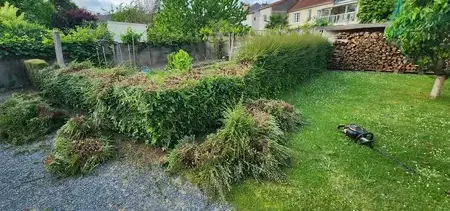 jardinier à Montrelais - image 3