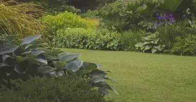 jardinier à Montrevault - image 2