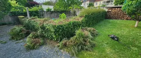 jardinier à Montrevault - image 3