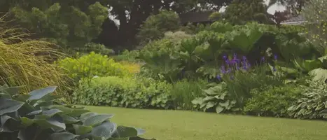 jardinier à Saint-Macaire-en-Mauges - image 2